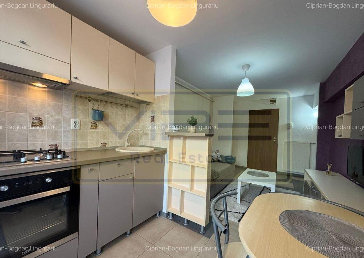 Apartament 2 camere modern Podu Ros 15 min Palas Mall - 6