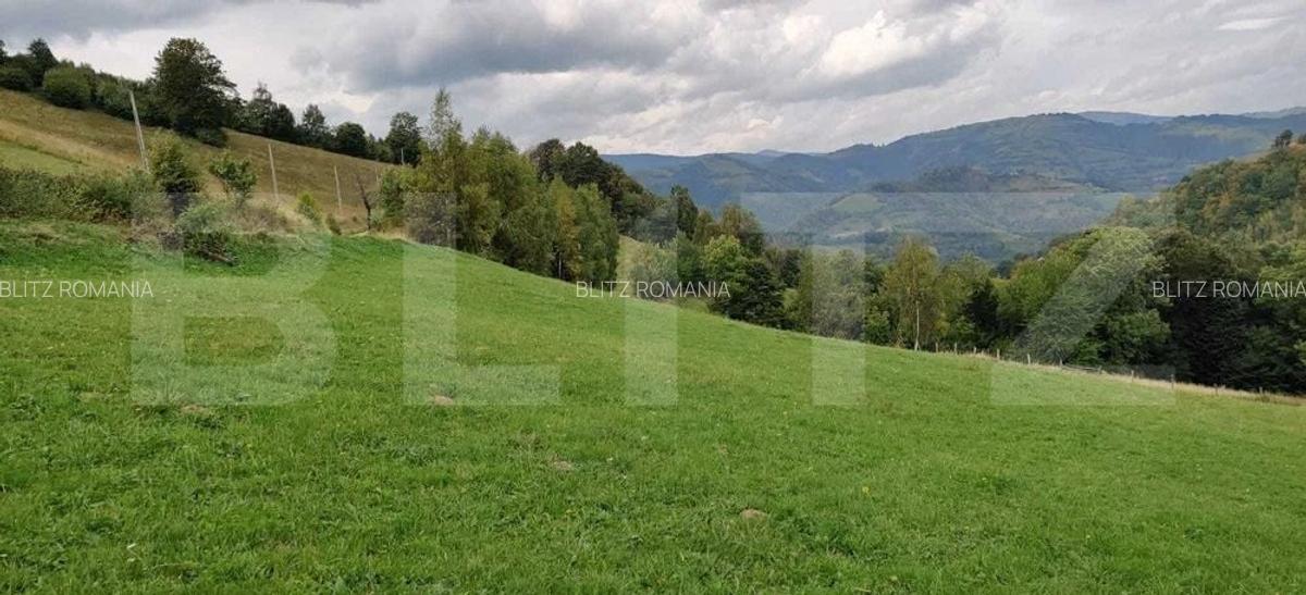 Casa de vacanta, 4 camere, teren 18000mp - 2