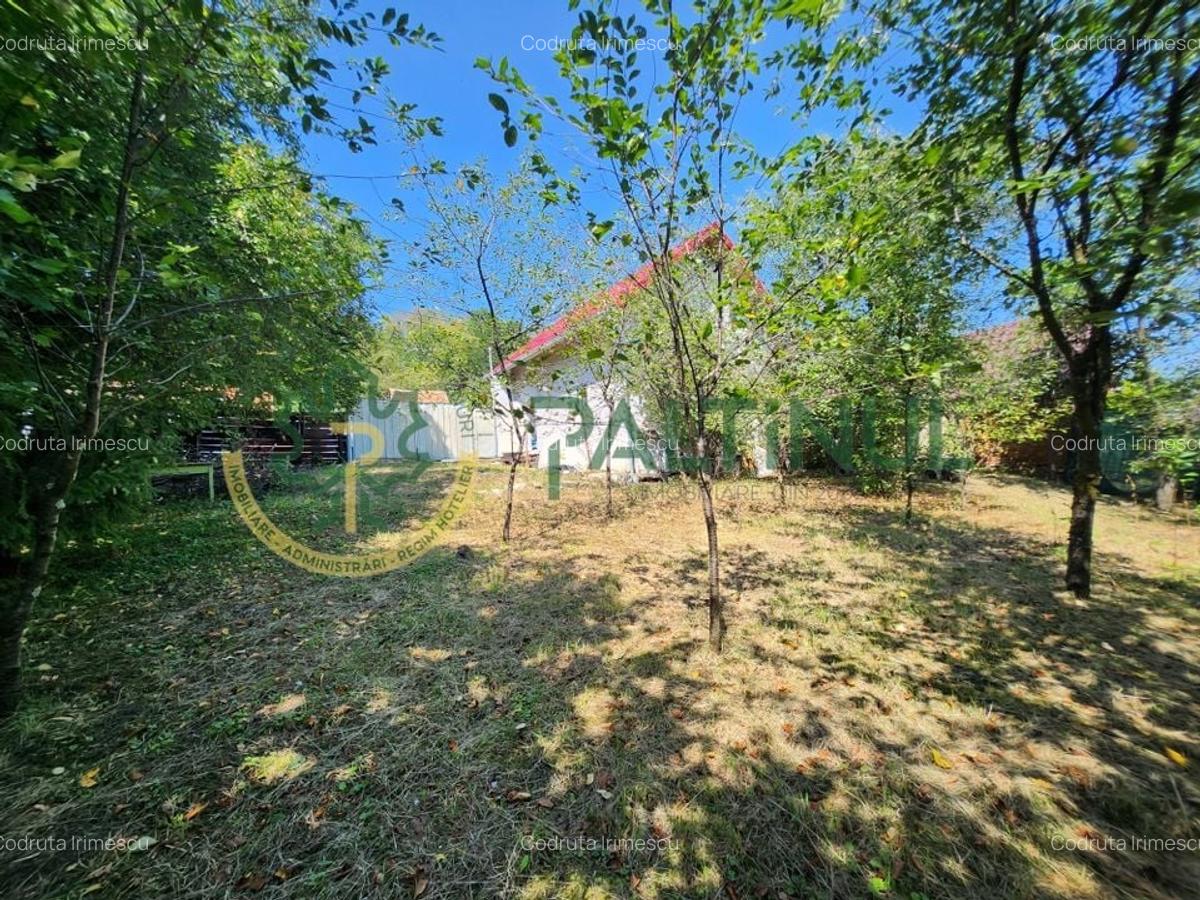 Casă Nucet, 864 mp teren cu pomi fructiferi - la 21 km de Sibiu - 2