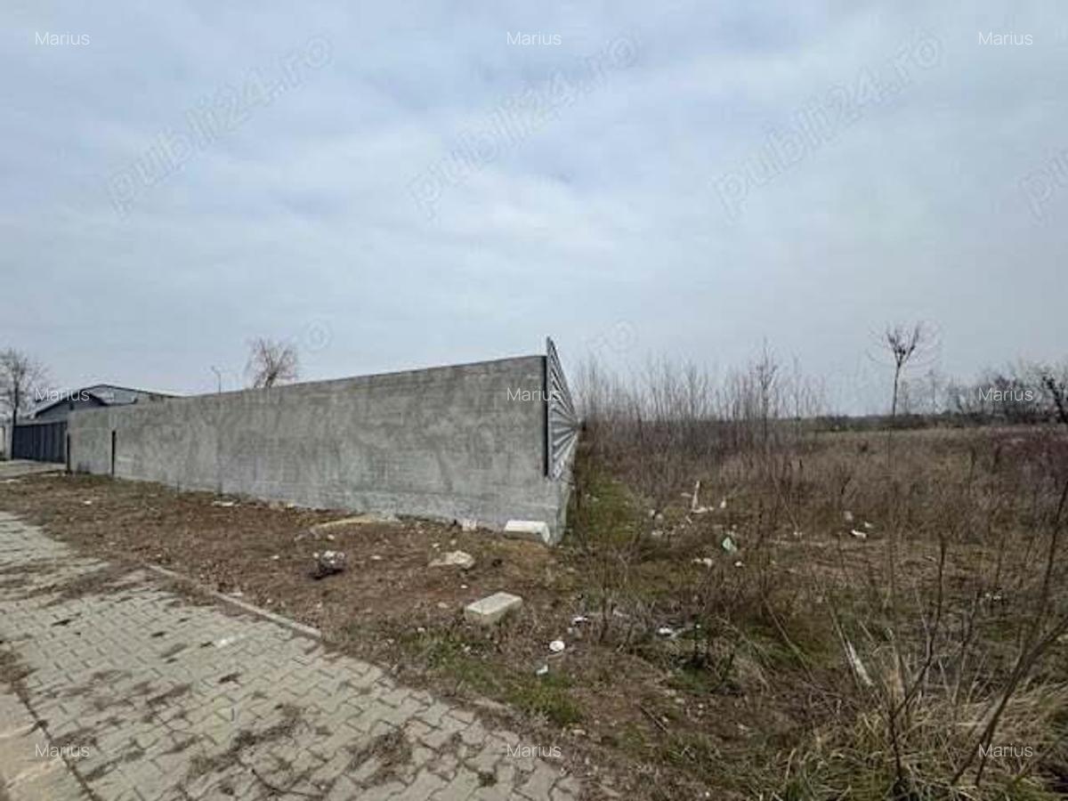 Teren intravilan Chitila , Ilfov - 3