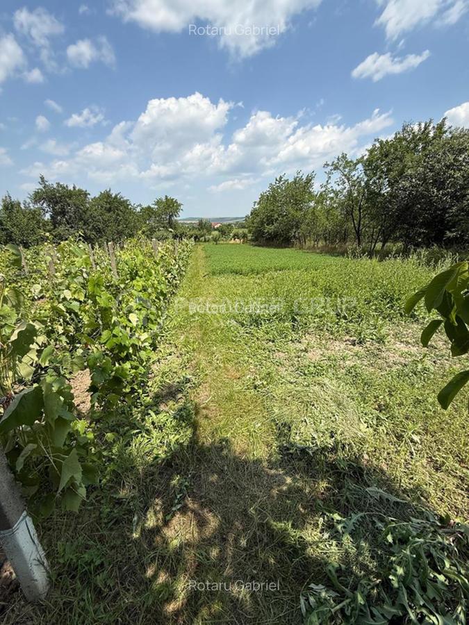 Casă individuală cu 4 camere în Voinești - 7