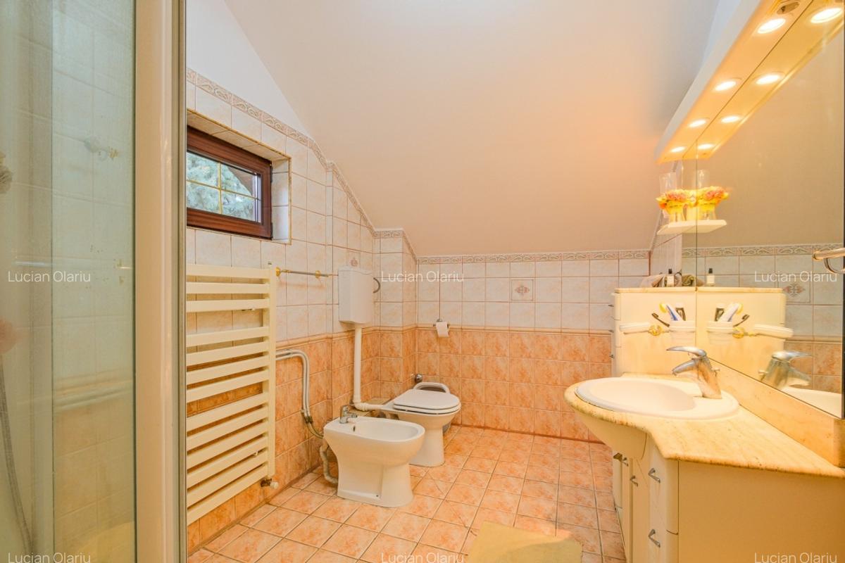 Vila Iancu Nicolae – intre Gradina Zoo si Jolie Ville | Liniste, spatiu si confo - 10