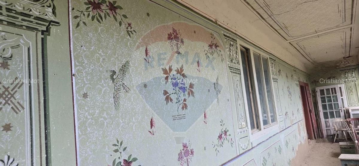 Teren si casa cu teren generos in Socodor - 17 Teren si casa cu teren generos in Socodor - 17