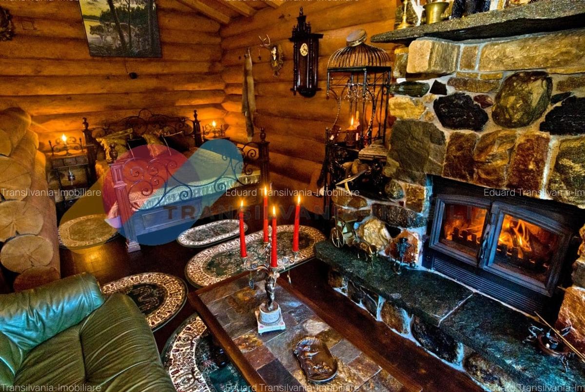 Complex  Printesa din Carpati  - Oportunitate de Investitie Unica pe Valea Aries - 10