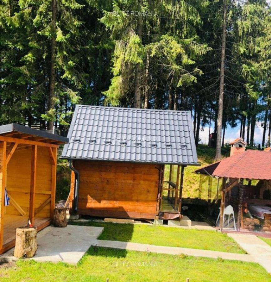 Casa de vacanta, 4 camere, 119 mp utili, 2300 mp de teren, M - 3