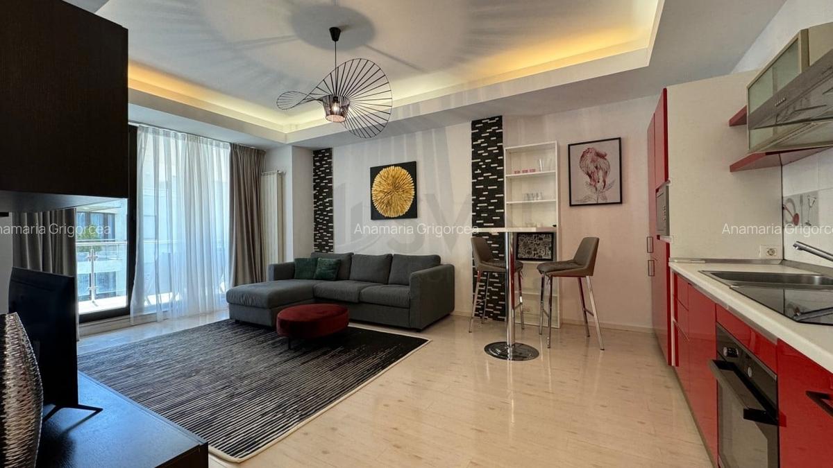 Apartament cu 2 camere semidecomandat în Herăstrău - 4