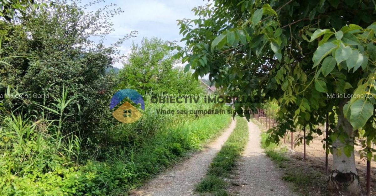 Teren intravilan com. Alexandru cel Bun- Viisoara - 13