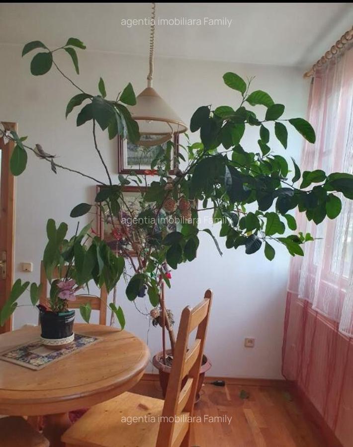 Apartament cu 3 camere decomandate Zona Ultracentrala - 6