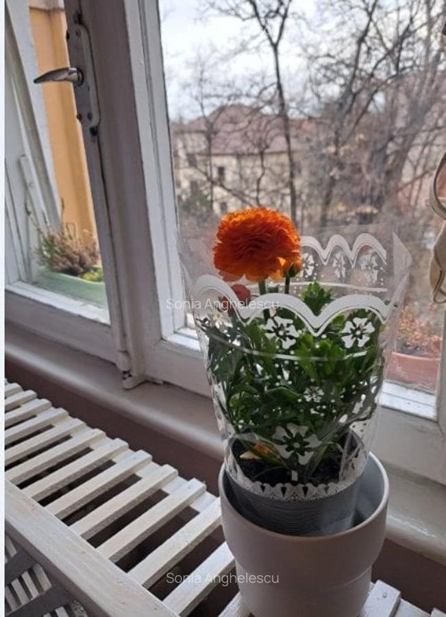 Apartament cu 2 camere decomandat în Medicină - 10