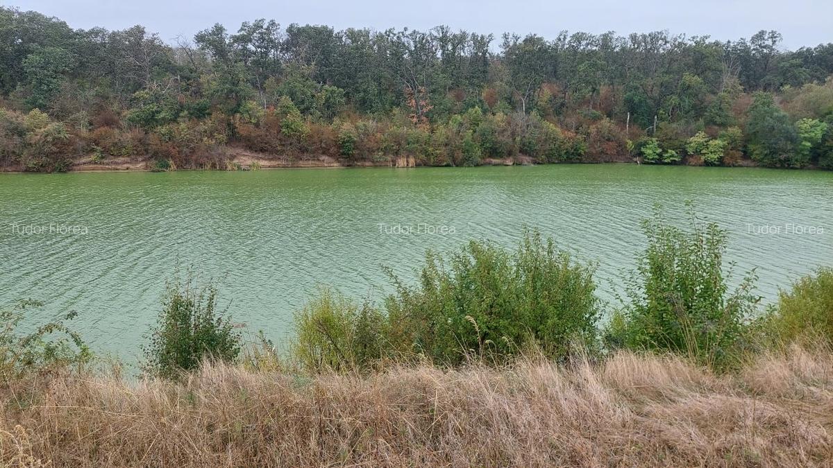 De vanzare teren cu deschidere la lac - 8