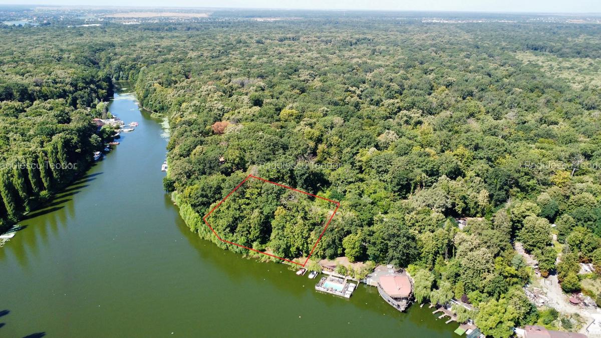 Teren 4800mp | Padurea Snagov | Deschidere larga la Lacul Snagov | Investitie - 4