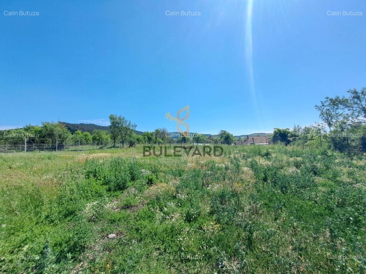 Casa individuala P+M, 1000 mp teren, la 40 km de Cluj-Napoca! - 18