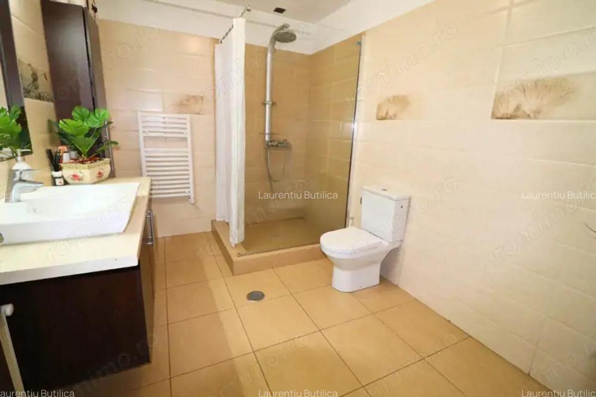 Salajan - vila superba cu 2 etaje - living 48mp fara stalpi - 16