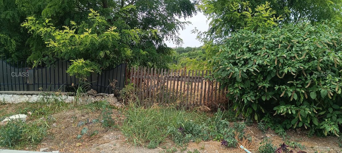 Lumina, 3300 mp, intravilan, zona Primărie - 3 Lumina, 3300 mp, intravilan, zona Primărie - 3