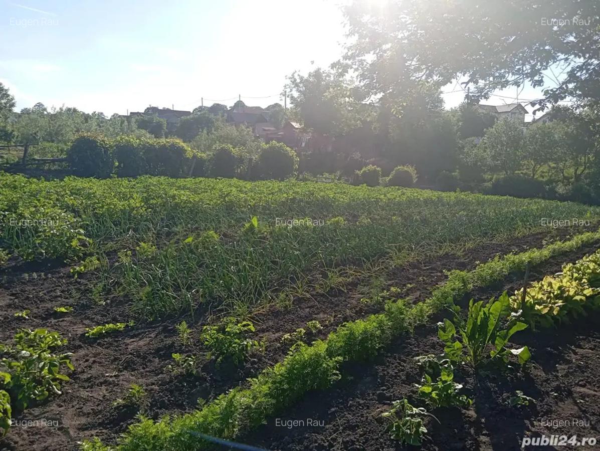 Casa in Nou 14 km de Sibiu - 5