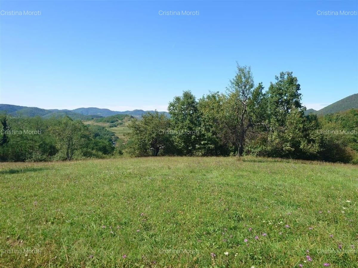 Teren intravilan 8757 mp cu potential turistic si acces direct la E79 - 11