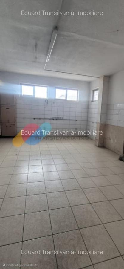 Spatiu industrial 600mp + 1500mp curte - Someseni - 10