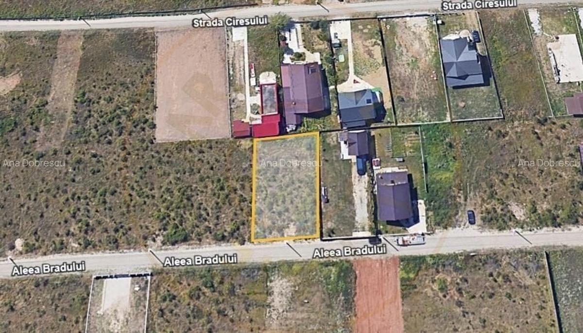 Teren Trivale - Aleea Bradului - Zona excelenta - 1