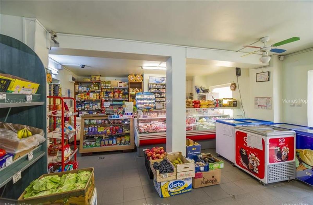 Spațiu comercial, 101 mp în Noua - 3