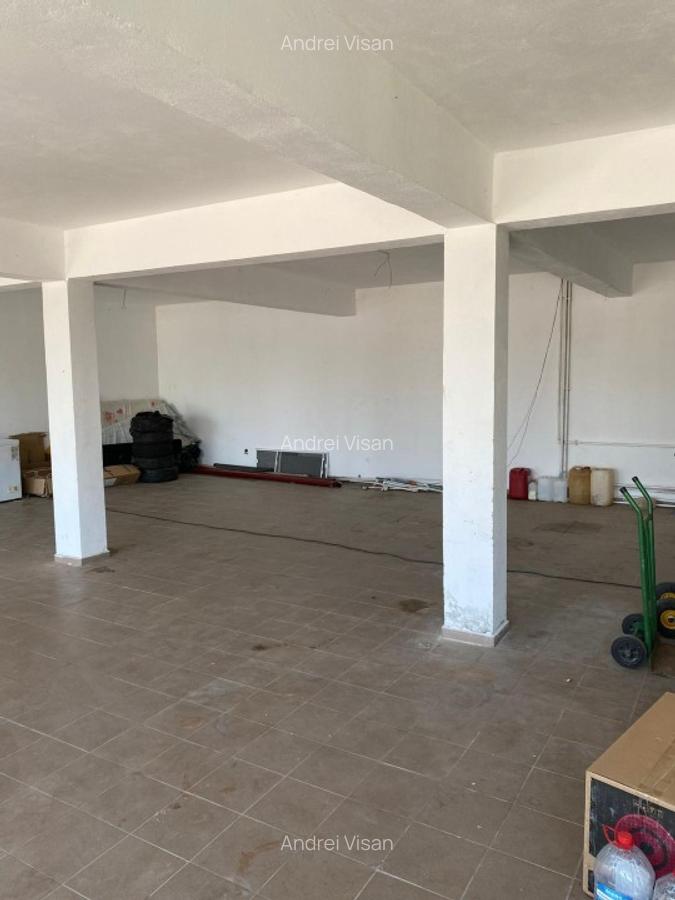 Spatiu Comercial de Inchiriat Ulmi DN71 HALA 140MP+800MP TEREN - 5