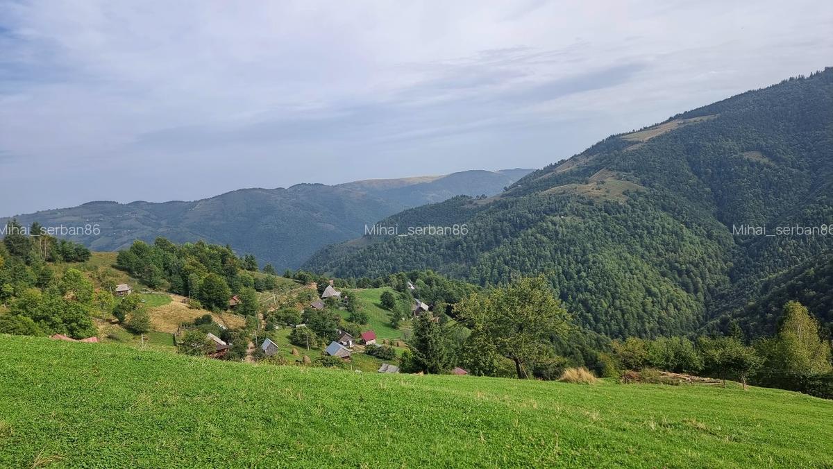 Vand teren la munte pentru cabana - 9