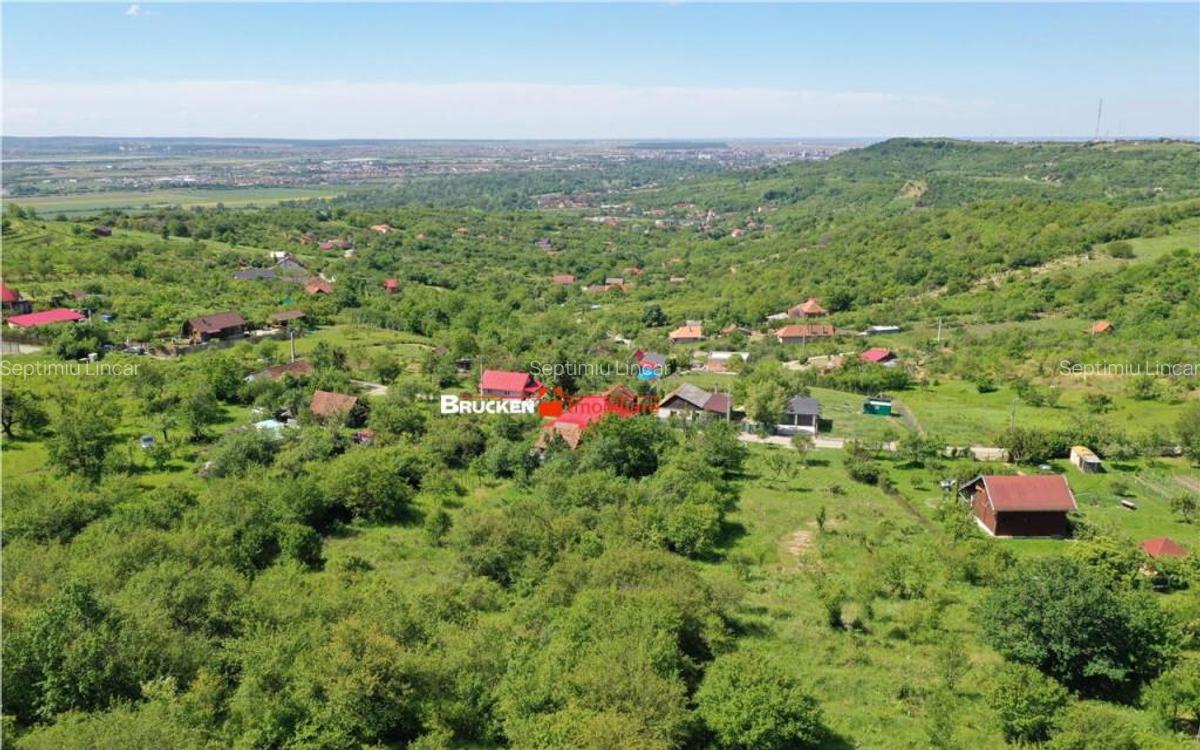 TEREN PENTRU CONSTRUCTIE REZIDENTIALA | 2878 MP | PODGORIA - 3