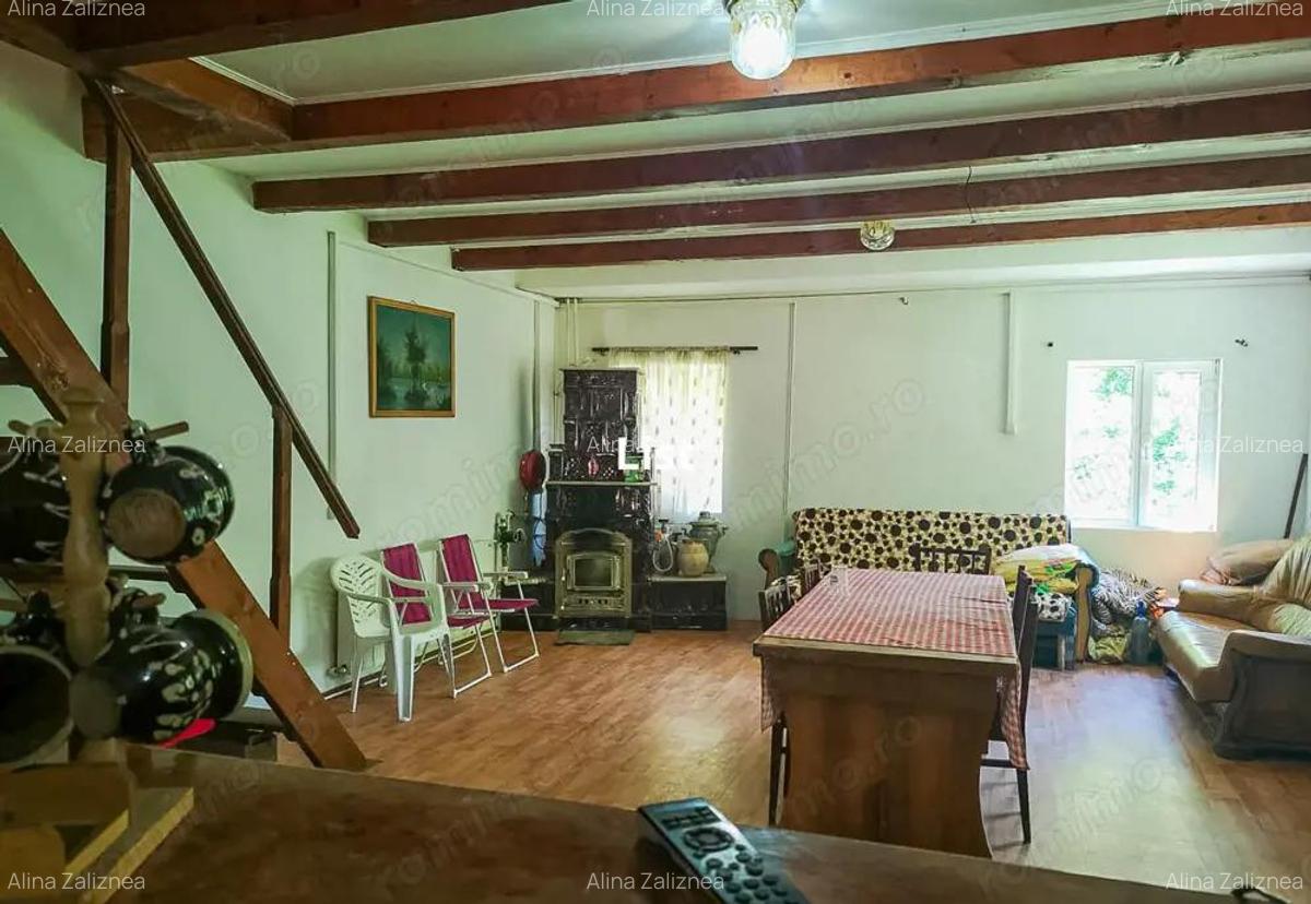 Casa de vacanta perfecta pe malul Cernei - 9