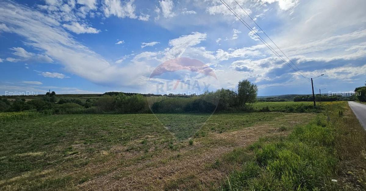 Teren extravilan 12000 mp- Padureni-?endriceni, Boto?ani - 4