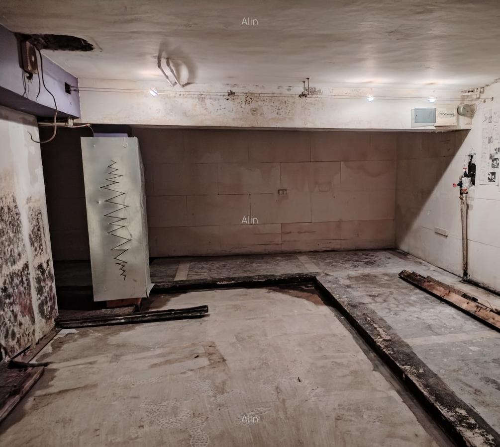 Spatiu comercial ultracentral - 5