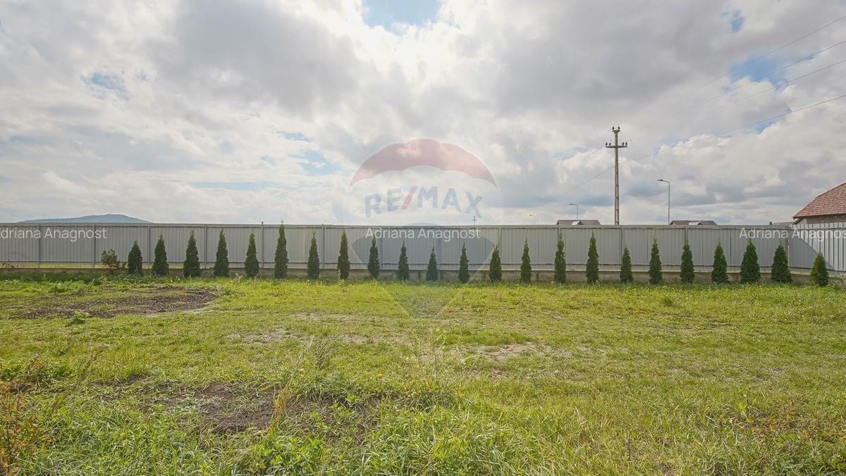 PROPRIETATE VERSATILA INVESTITIE BOD-PENSIUNE/CAMIN DE BATRANI/SPA - 7