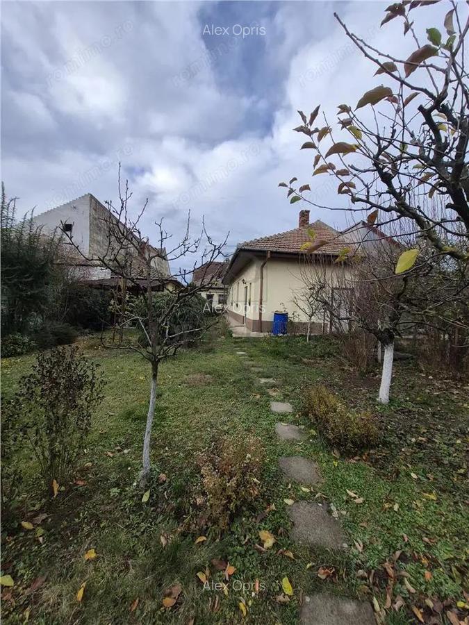 Propietate cu 2 case individuale - ingrijite - pe un teren de 800mp - zona excelenta Timisoara - 19