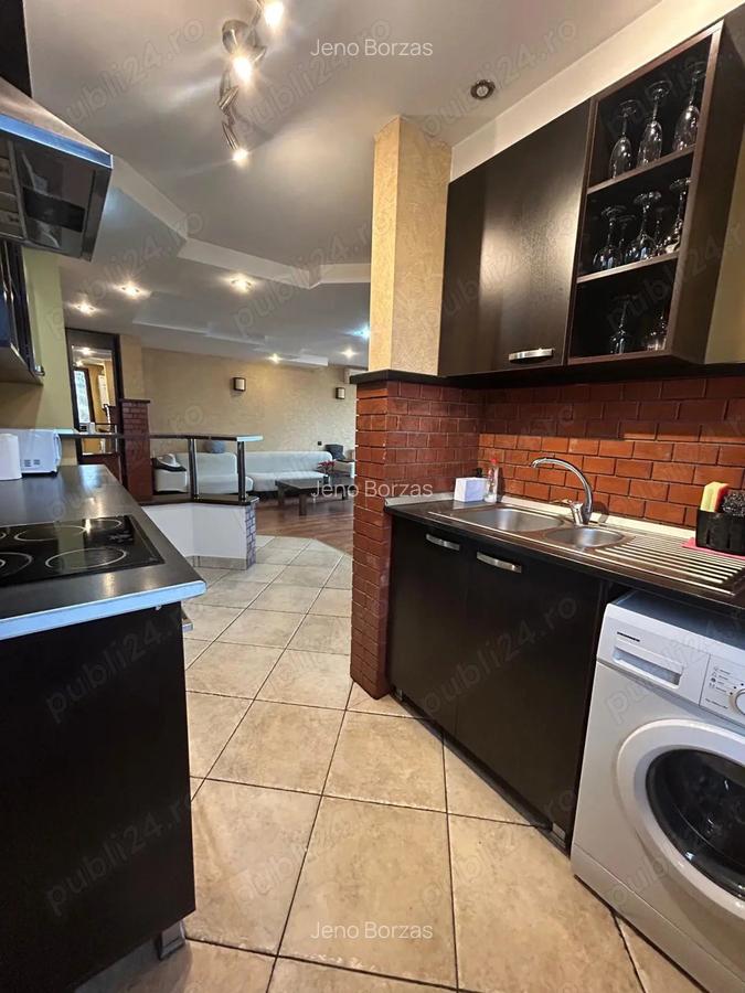 Apartament tip open space cu 2 camere de inchiriat zona Nova vita - 10