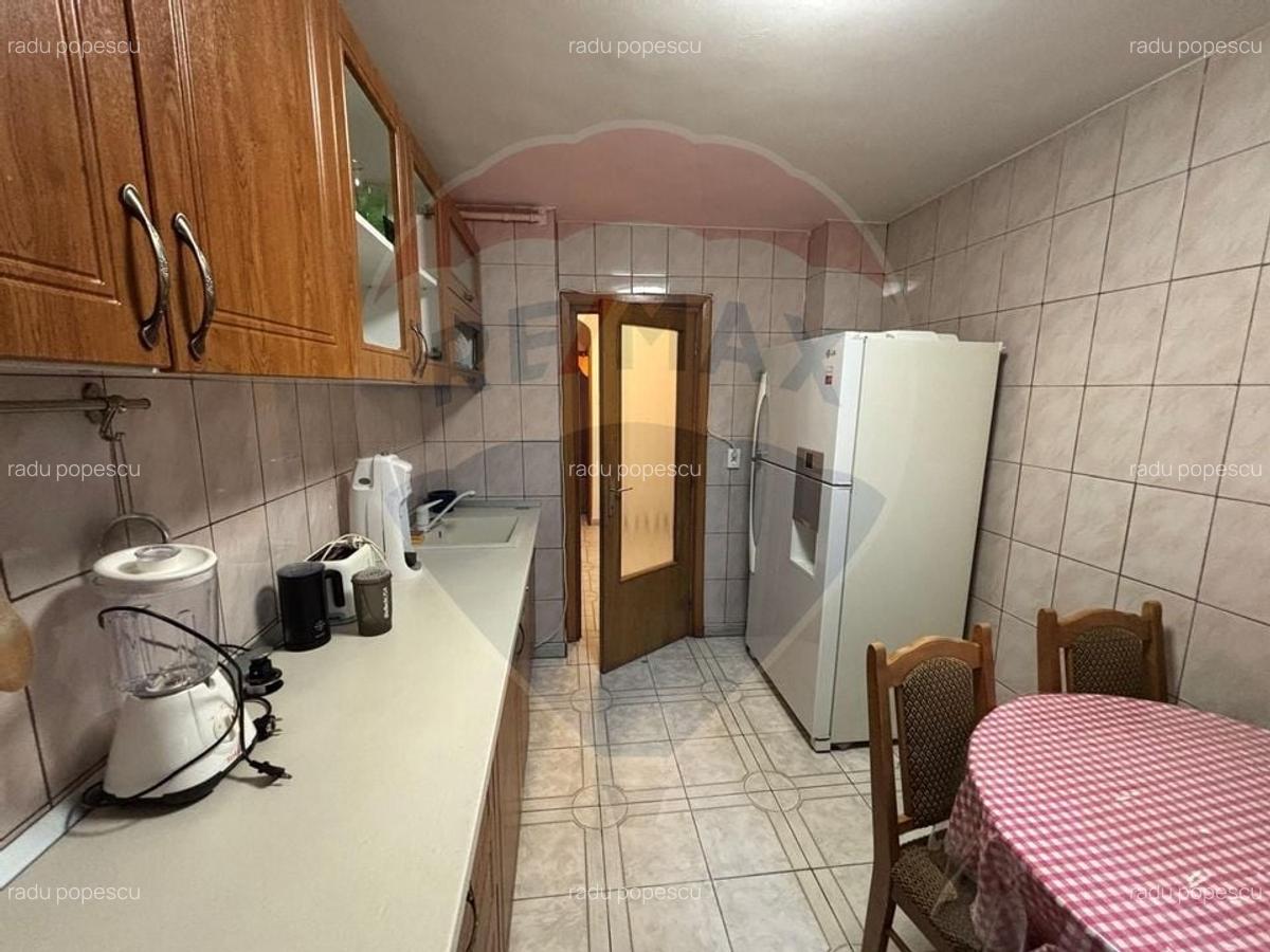 4 camere de vanzare TEIUL DOAMNEI zona verde-linistita, bloc anvelopat - 6