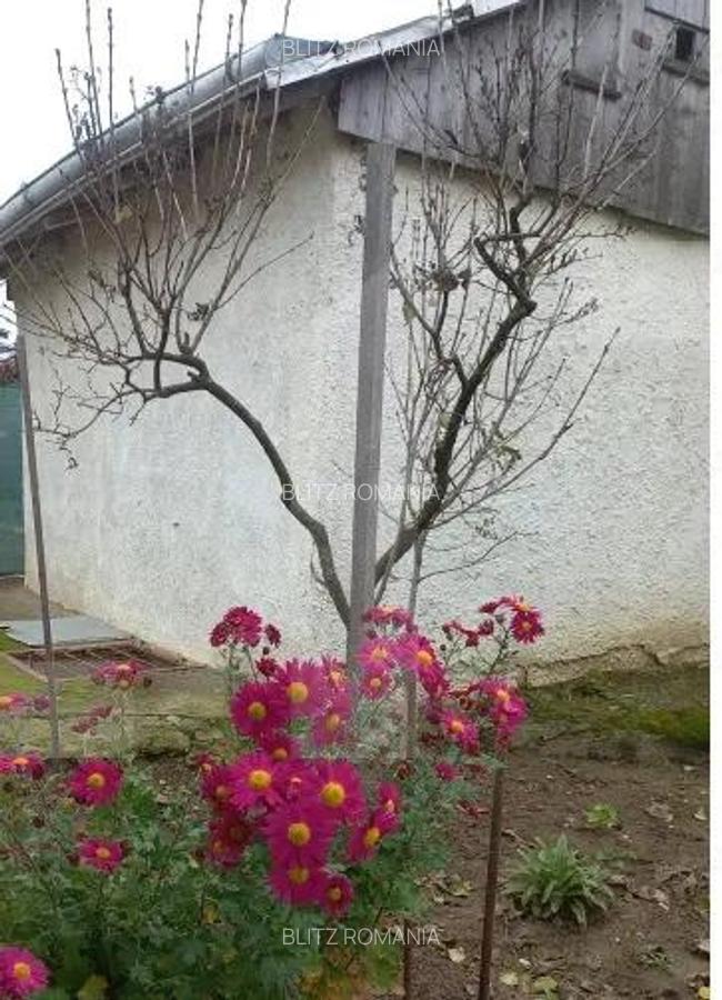 Casa batraneasca cu teren generos 1.807 mp, Tulbureni - 3