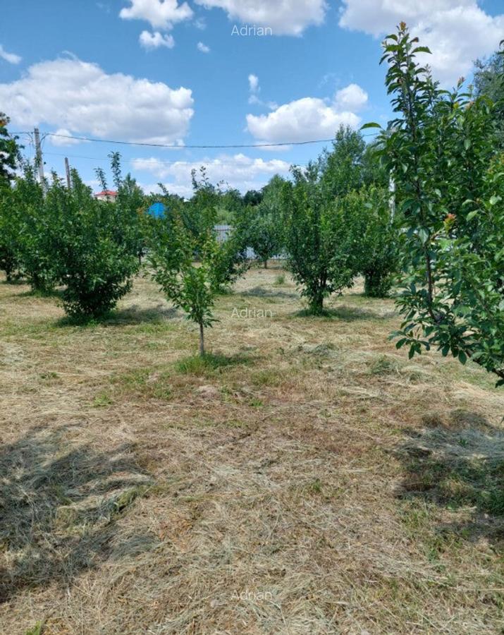 Vand casa cu livada in satul Ionesti Arges - 8
