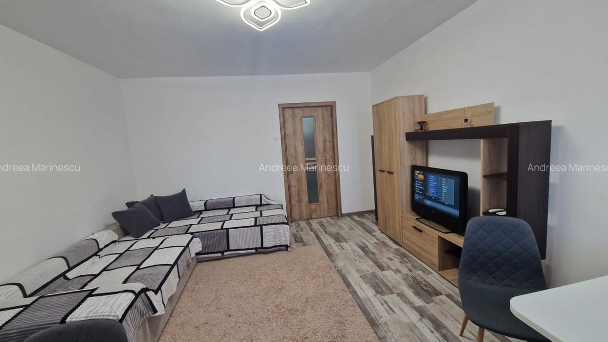 Garsoniera semidecomandata, 31mp, Brazda lui Novac, zona restaurant Baba Novac - 1