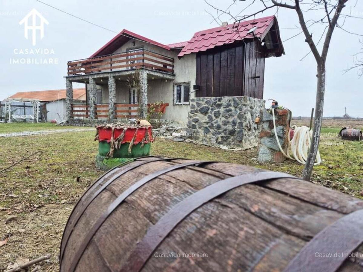 Casa de vanzare in Salbagelu Nou, jude?ul Cara?-Severin - 3