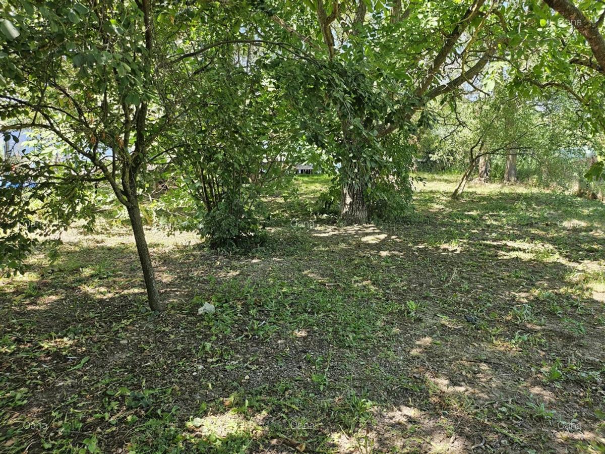 Casa cu teren deschidere directa la lac Corbeanca - 6