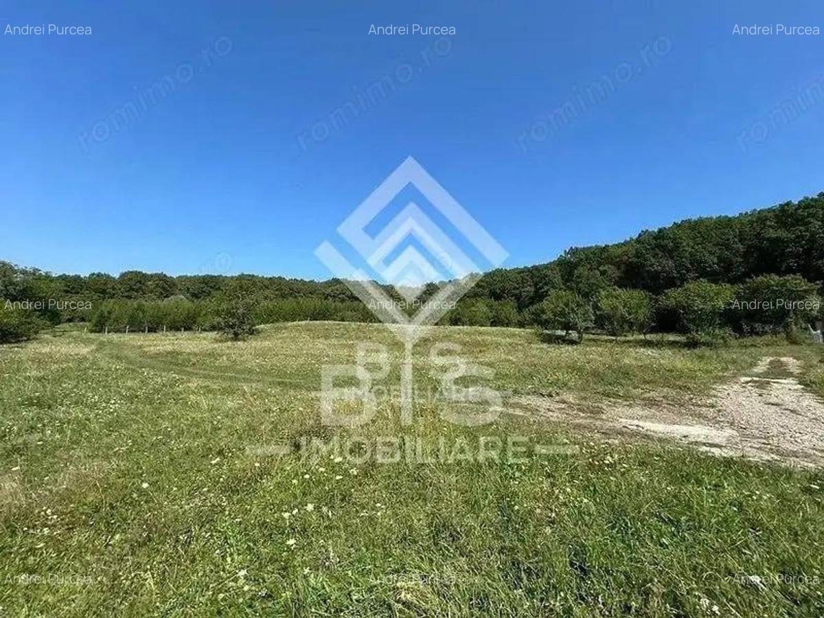 Teren Extravilan - 10'000 Mp - Valea Budacului (Bistrita) - 3 Teren Extravilan - 10'000 Mp - Valea Budacului (Bistrita) - 3