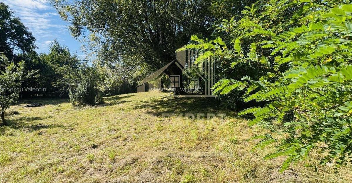 TEREN INTRAVILAN 3234 MP LERE?TI VOINE?TI ARGE? - 8