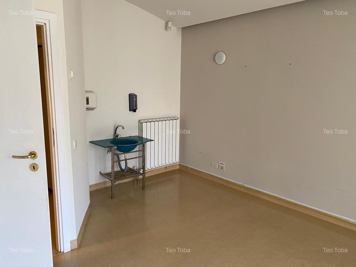 Inchiriere spatiu comercial P+1  230mp curte terasa ideal investitie Aviatorilor - 14
