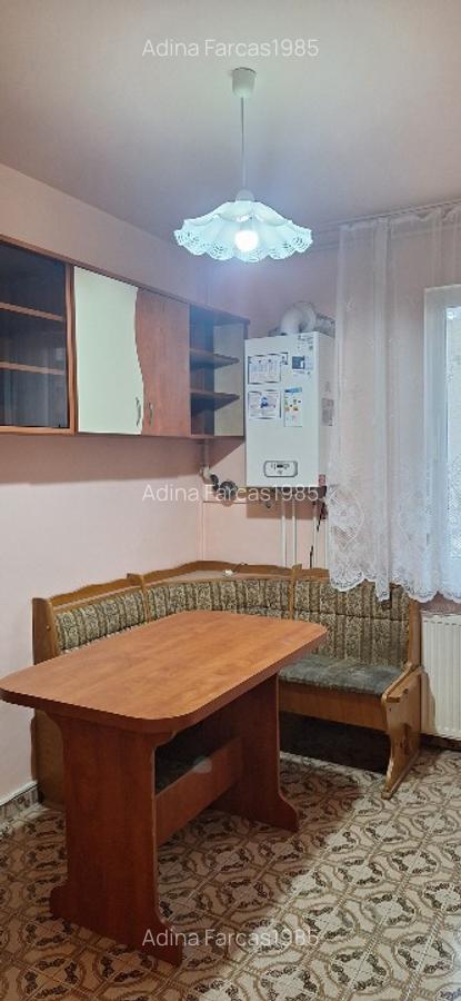 Apartament Tudor 2 camere - 10