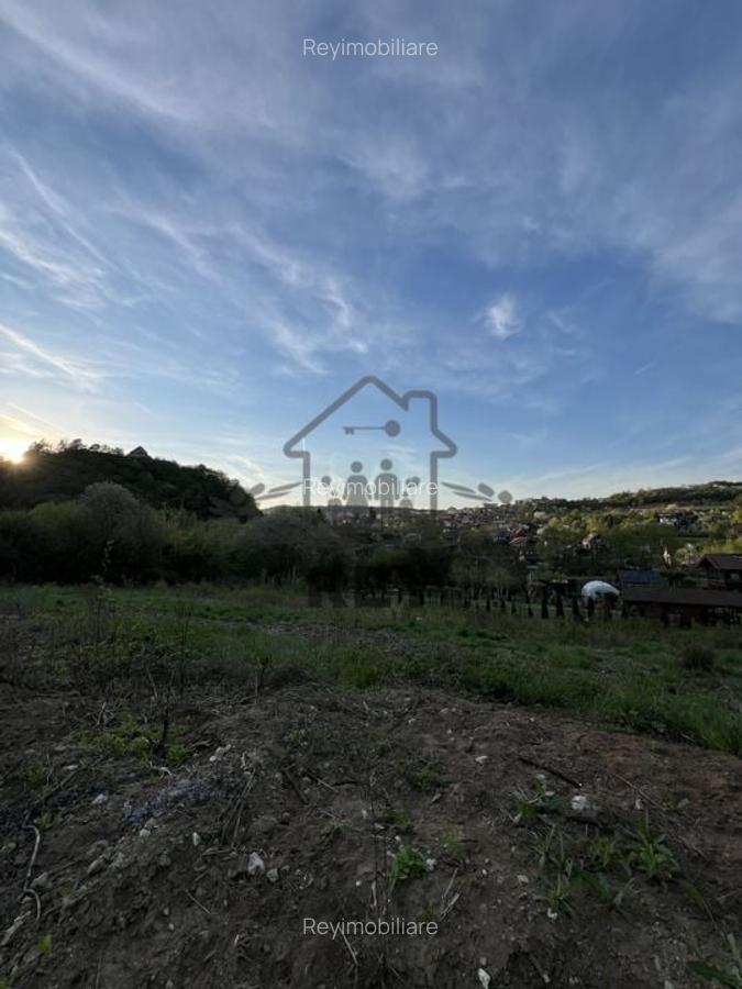 Teren la poalele Cetății Cisnadioarei de vânzare/1250 mp - 6