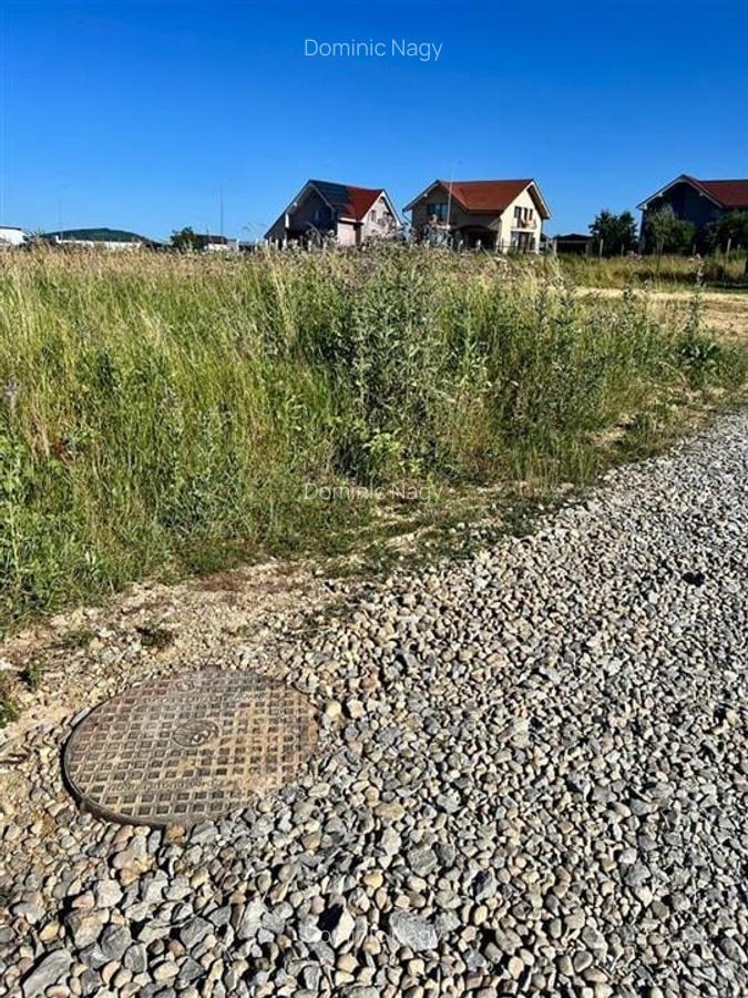 Teren Construcții intravilan de 1570 mp, în Cihei - 4