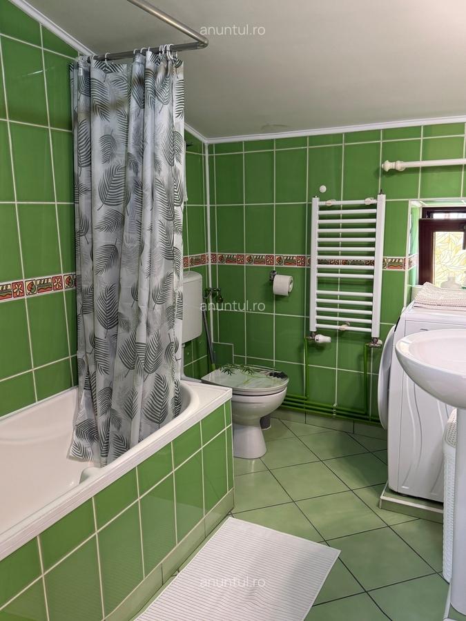 Dorobanti, Tudor Stefan - 14