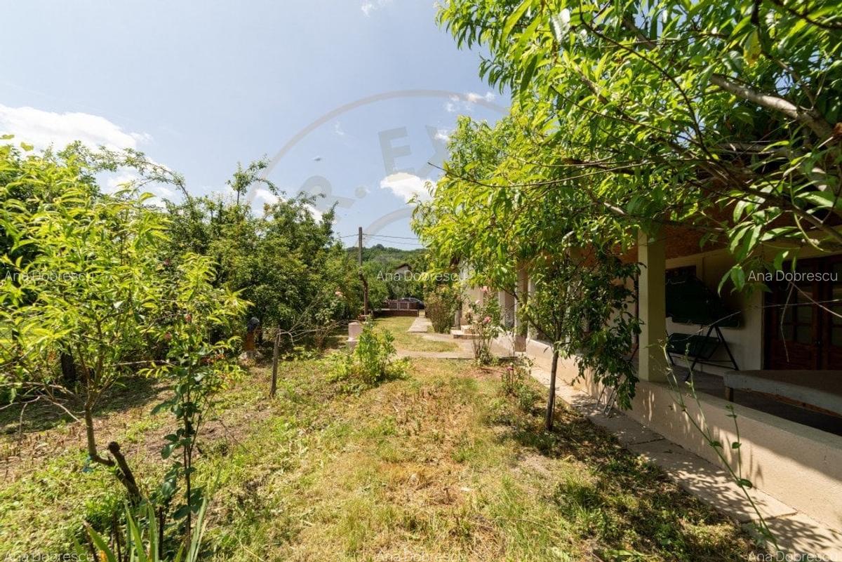 Casa batraneasca - Glambocelu, com. Bogati, Arges! - 15