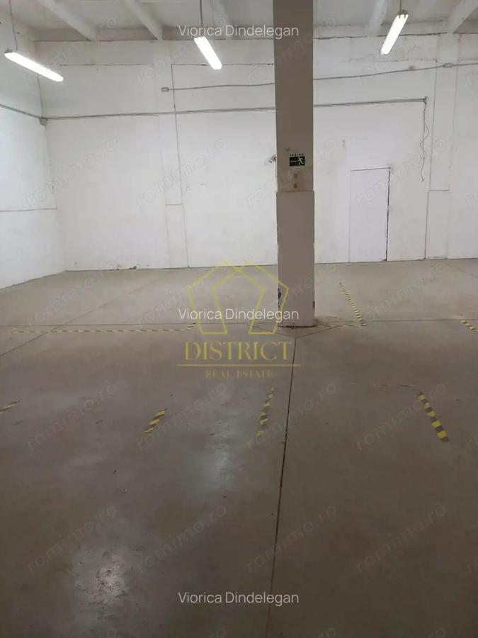 Spatiu Comercial tip Hala I Zona Lipovei - 6