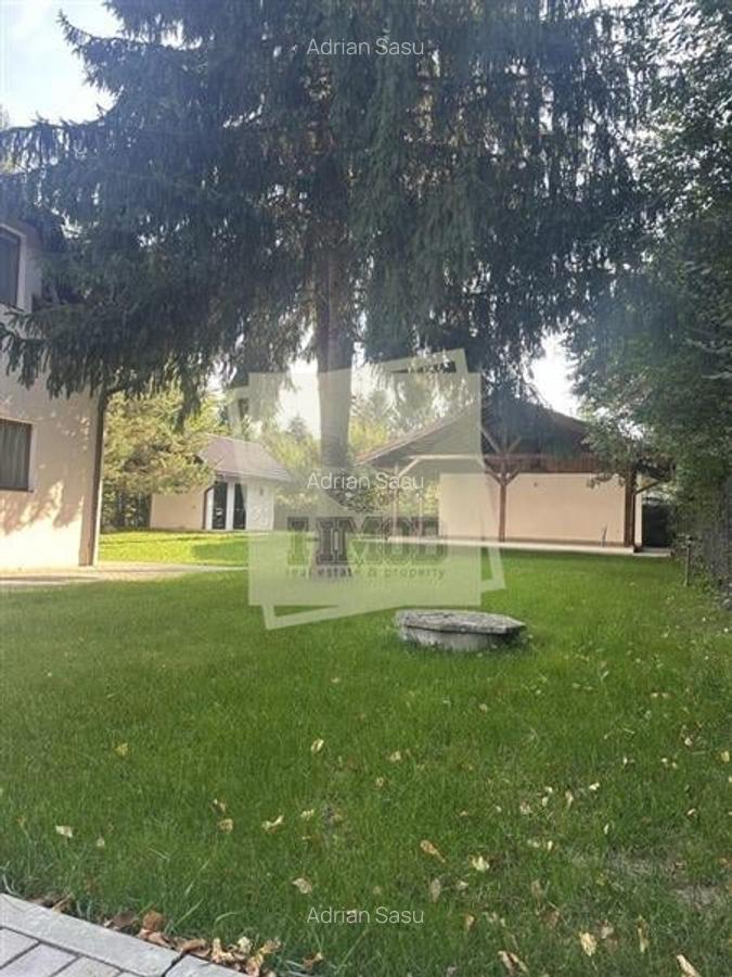 Casa de vacanta vs Afacere la cheie Valea Avrigului - 3