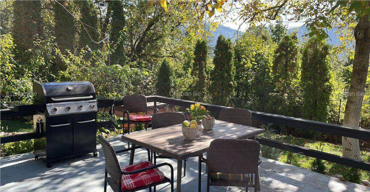 Vila Exclusivista Drumul Poienii / Pretabil Regim Hotelier - 4