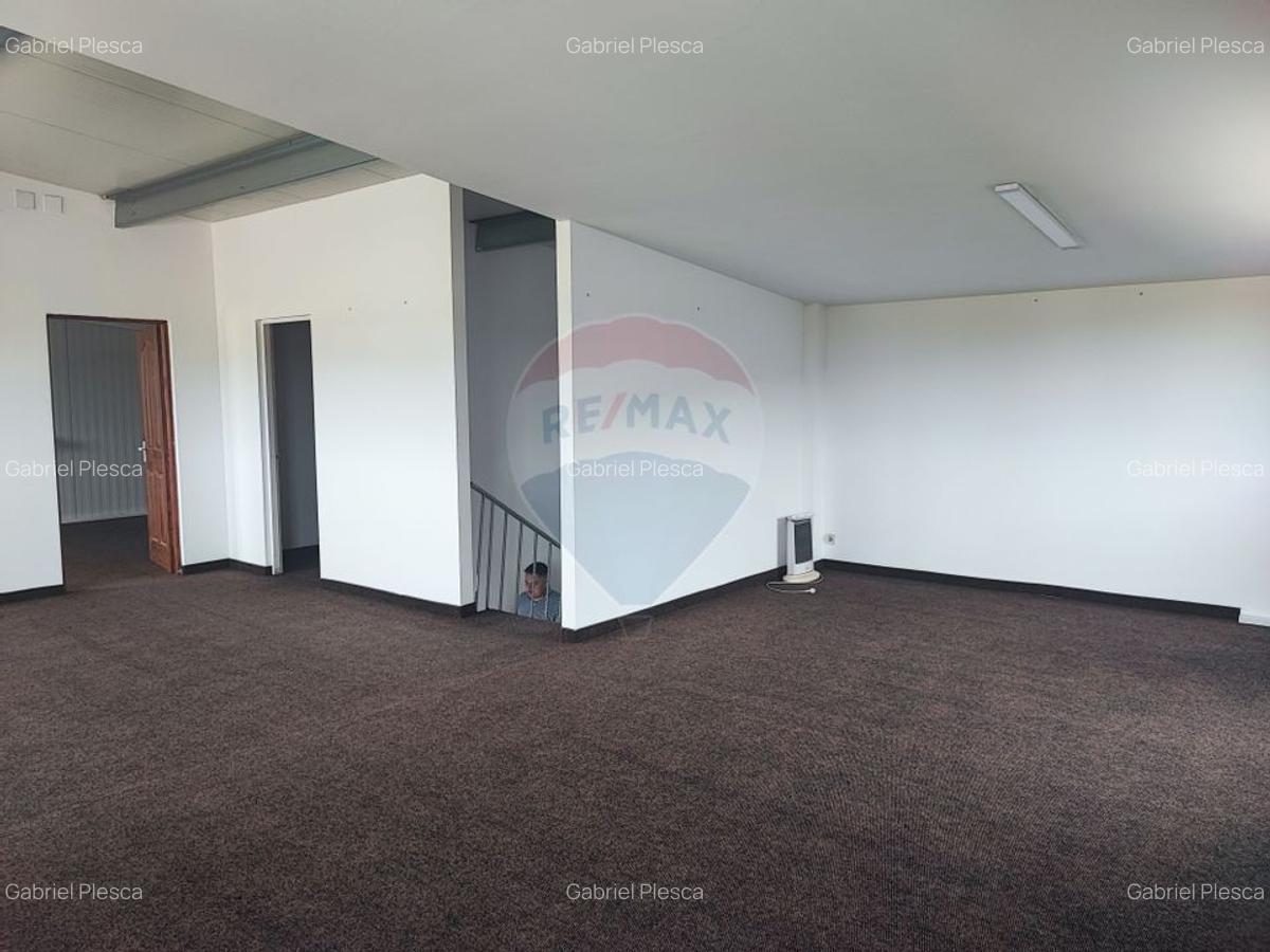 Hala Industriala, Parcul Industrial, Bors, De Inchiriat - 6